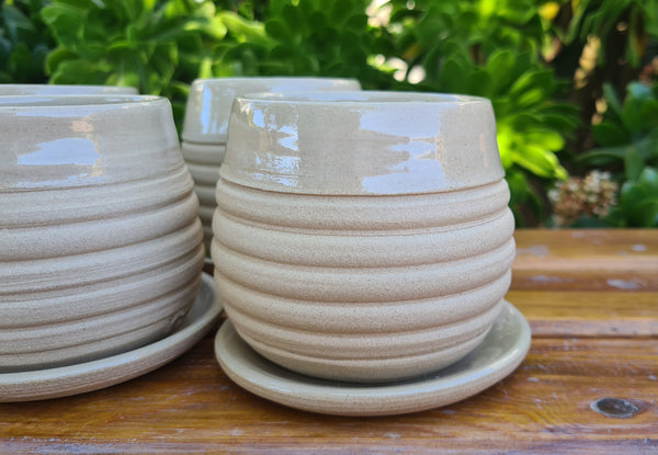 Bee-Mugs set - Sandstone